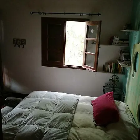旅馆 La Oliva Inn *