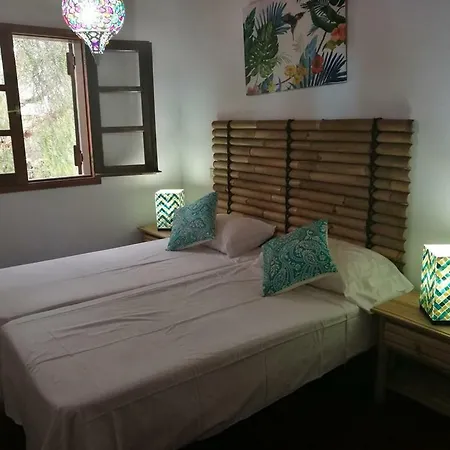 Hostel La Oliva Inn *